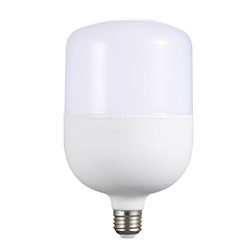 LED Bulb