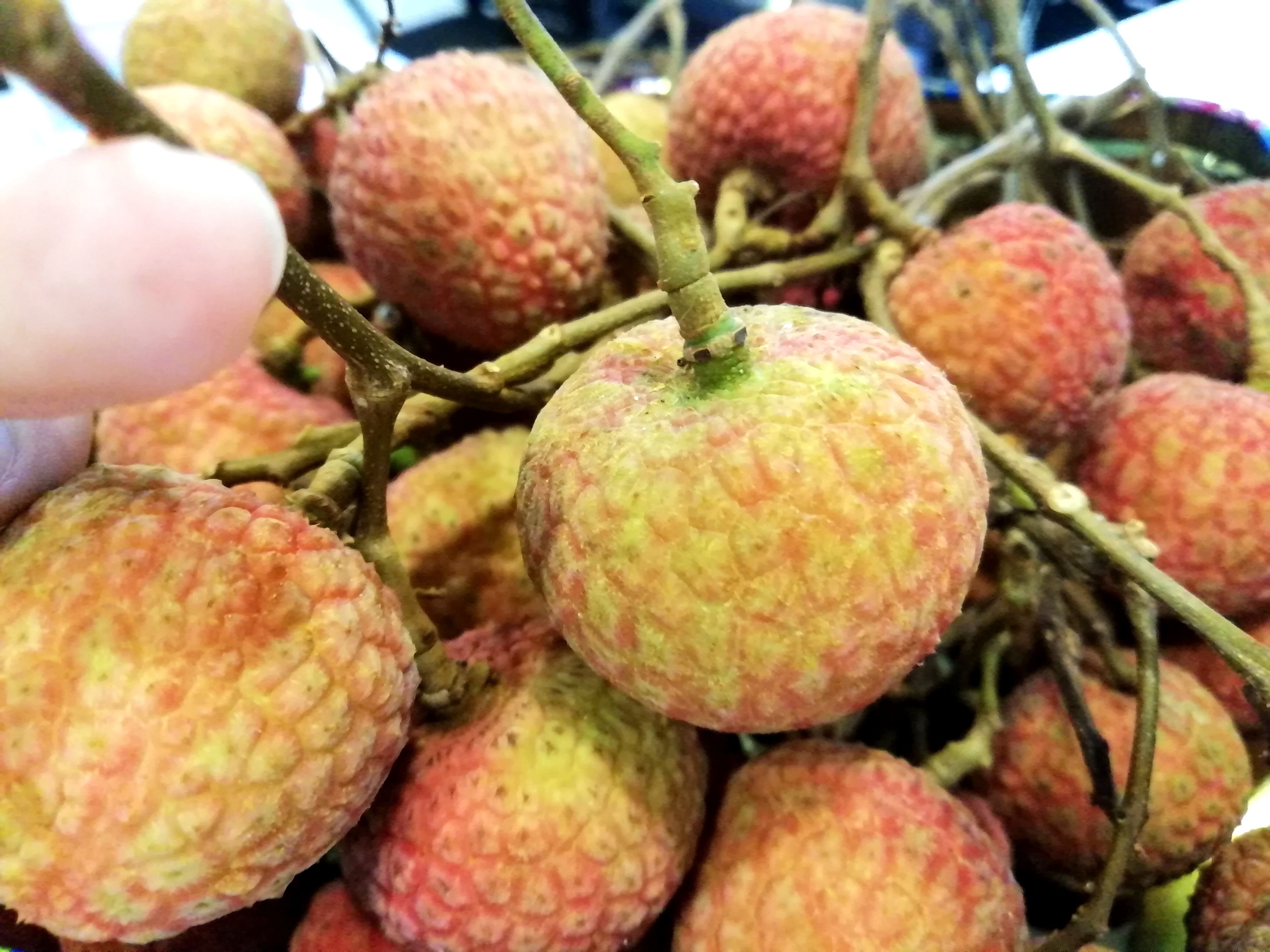 Panel Light Manufacturer KEOU- Delicious Litchi