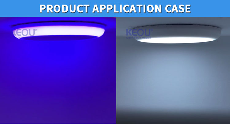 double color panel light