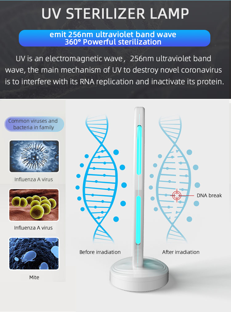 UV disinfection lamp