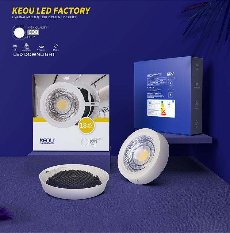 COB LED Downlight 30W