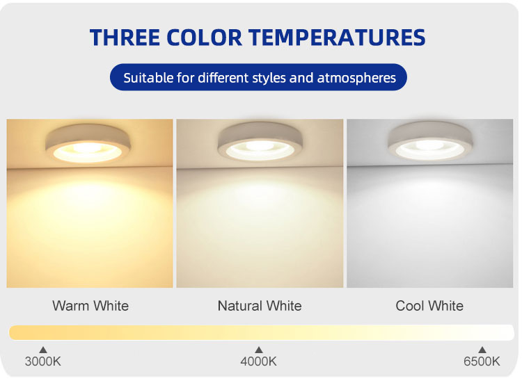 COB LED Downlight 30W