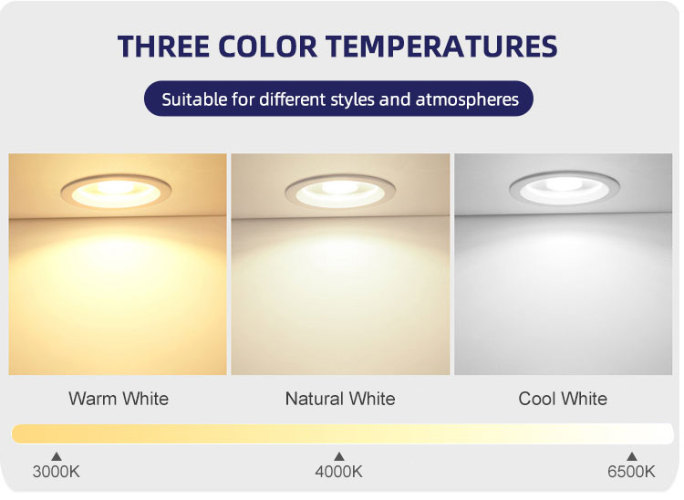 COB LED Downlight