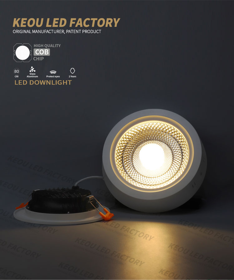 COB LED Downlight 30W
