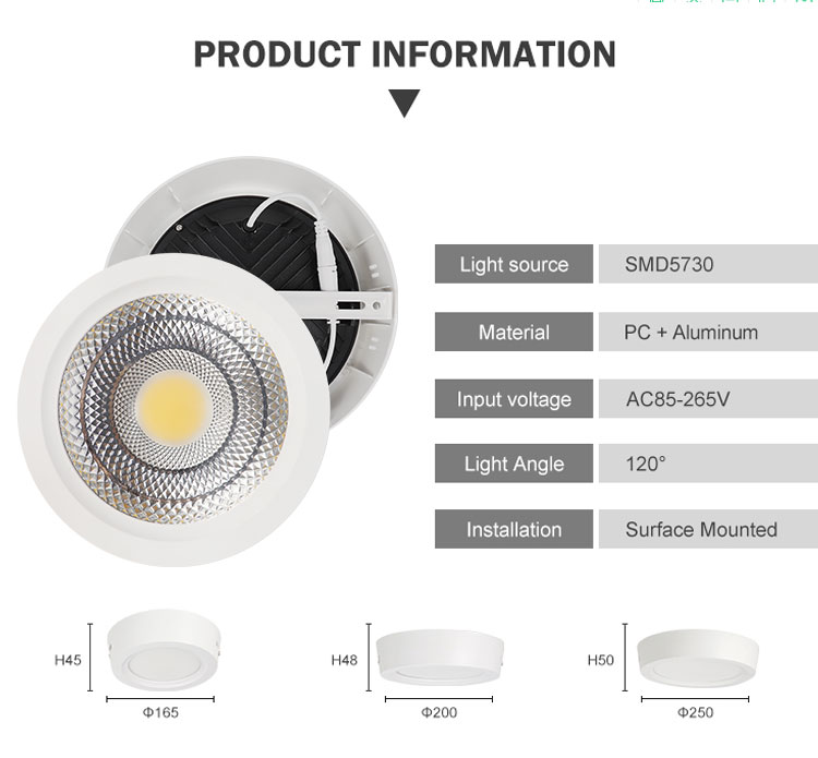 COB LED Downlight 30W