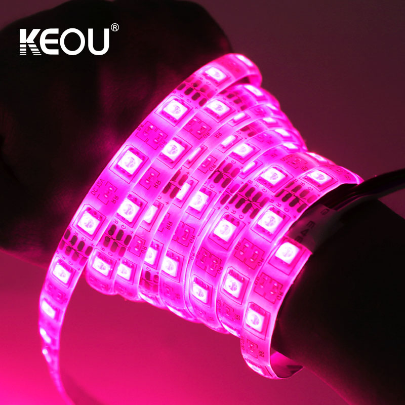 LED Strip Light RGB KEOU New 5M 10M Strip lights LED support Wifi App control IP54 Supplier