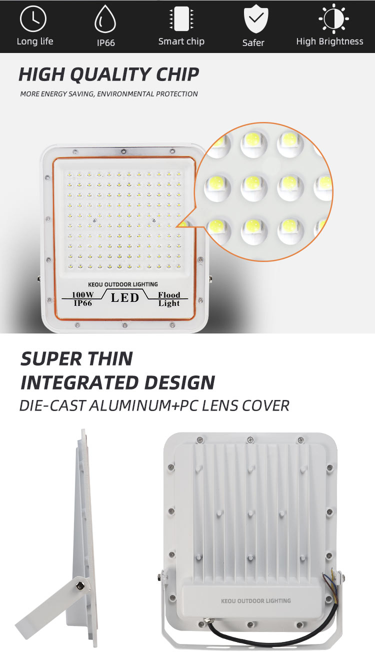 LED flood light