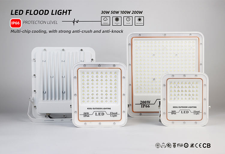 LED flood light