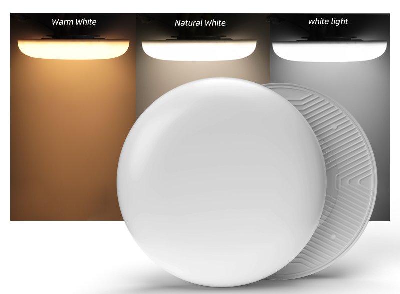 Tri-colour panel light