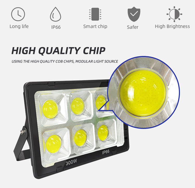 COB flood light