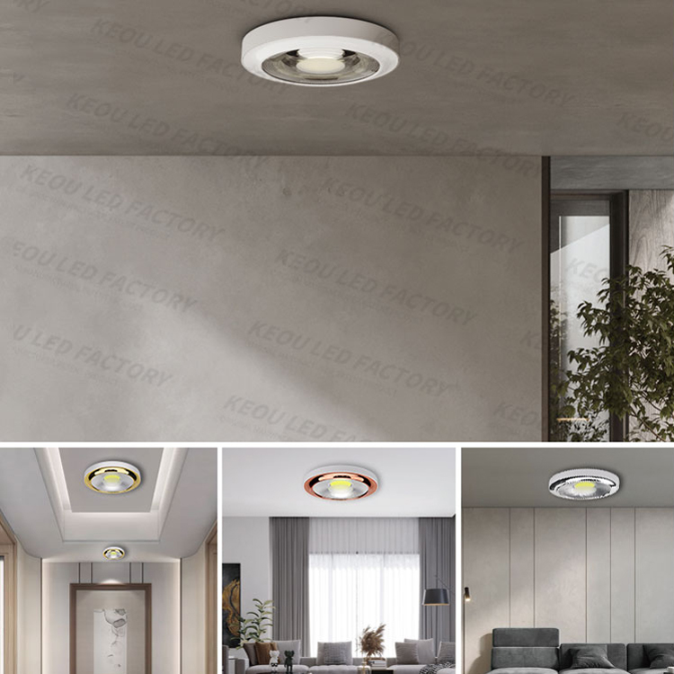 KEOU Modern 20W 30W Flush Mount Cob Ceiling Light